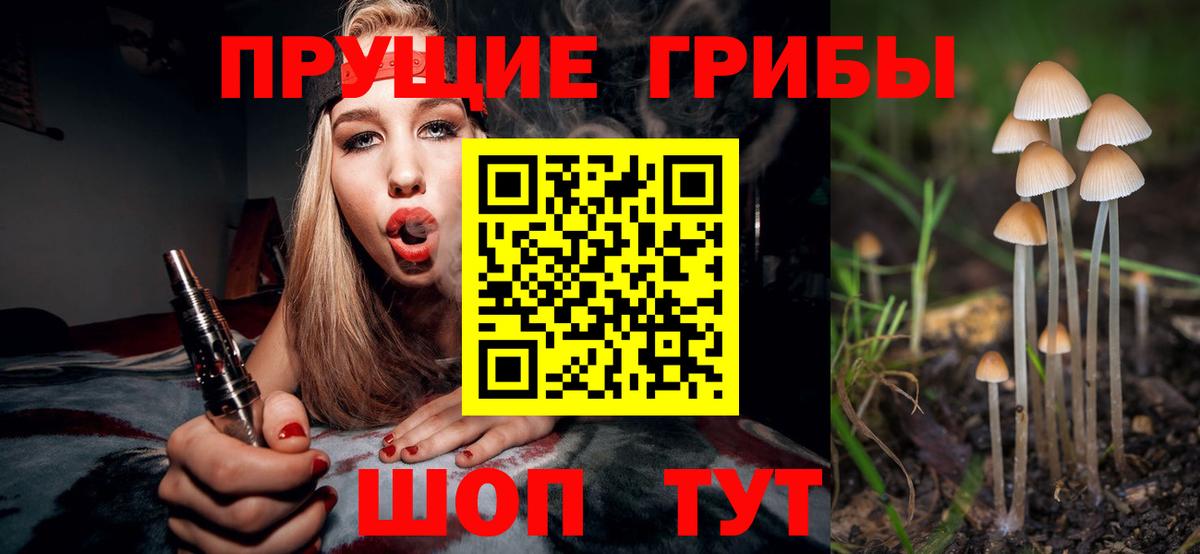 Коломна  Галлюциногенные грибы Psilocybe  сколько стоит  Вход с VPN 
